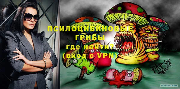 ПСИЛОЦИБИНОВЫЕ ГРИБЫ Михайлов