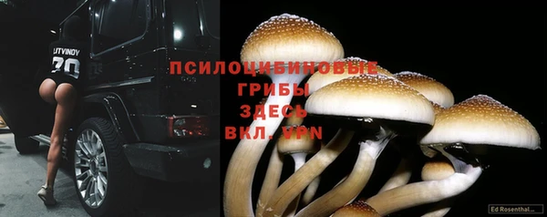 дмт Михайловск