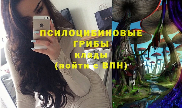 МДПВ Абаза